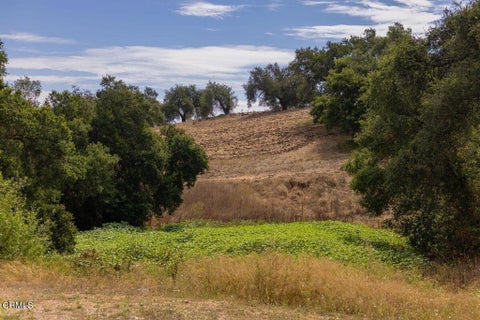 Tiny photo for 1410 Baldwin Road, Ojai, CA 93023 (MLS # V1-37714)
