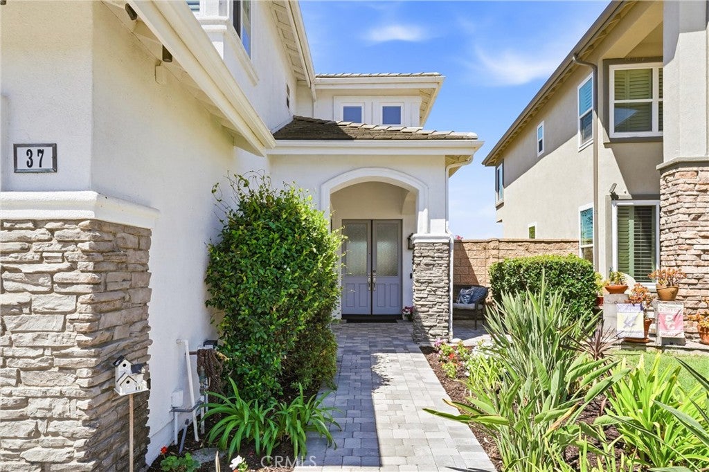 37 Rockrose