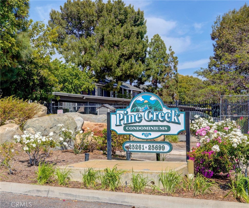 25655 Pine Creek Lane