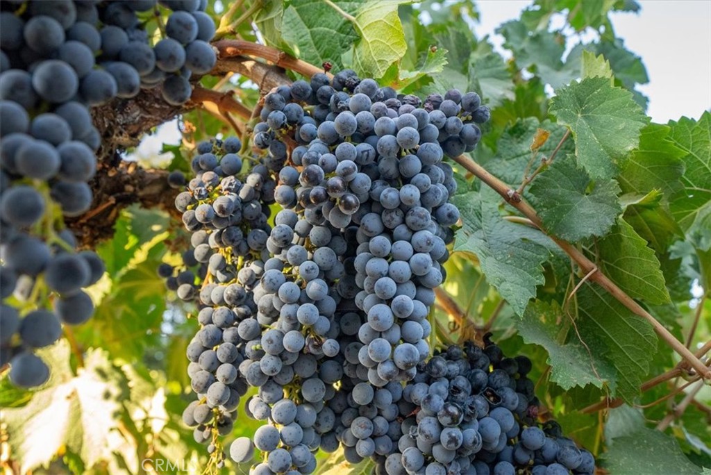 PR Rural West(250) - Residential