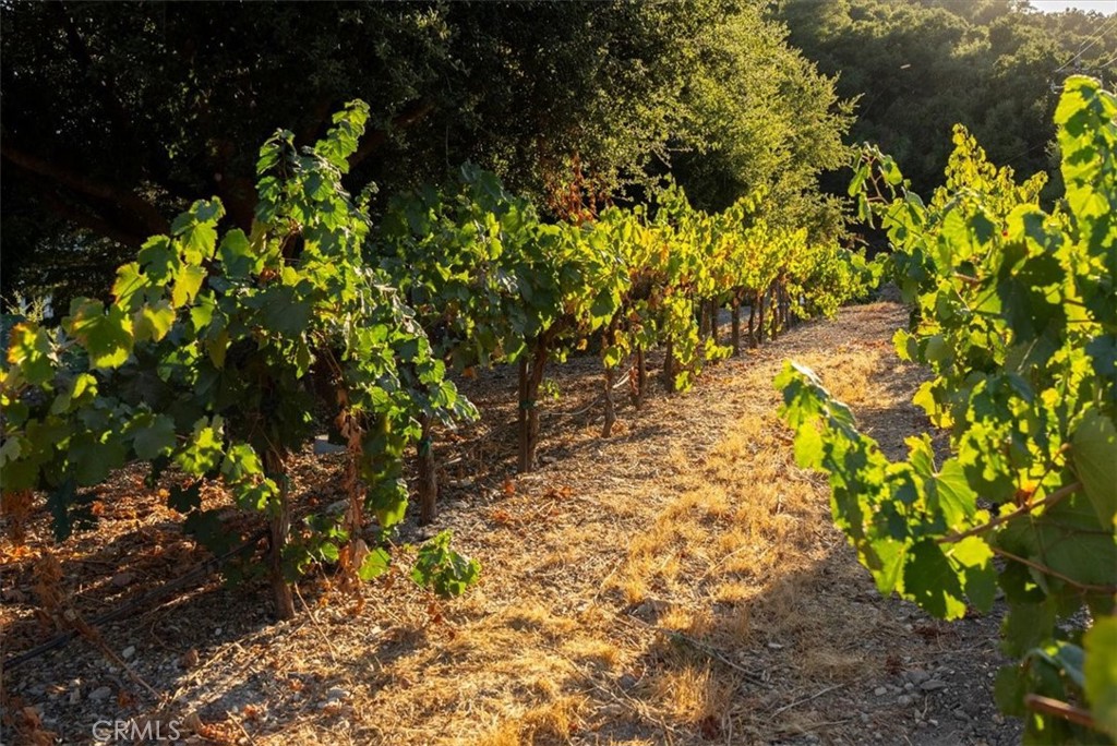 PR Rural West(250) - Residential