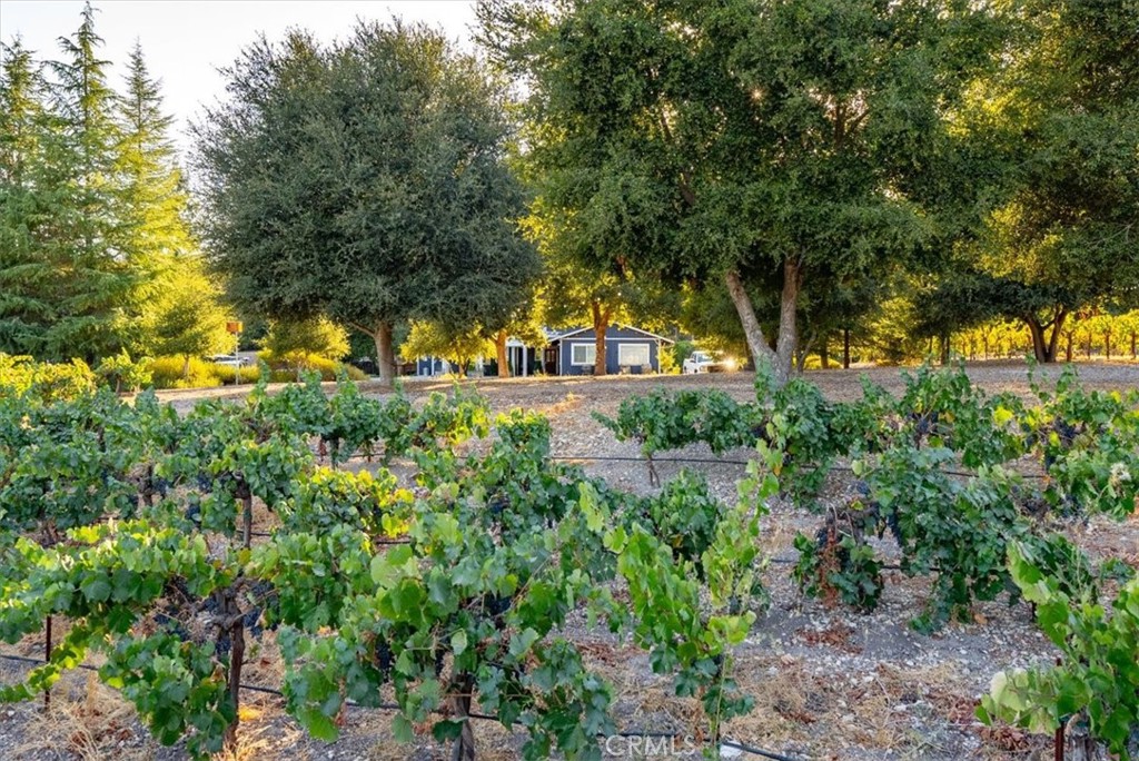 PR Rural West(250) - Residential