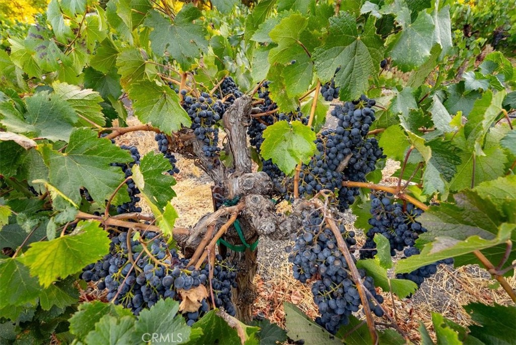 PR Rural West(250) - Residential