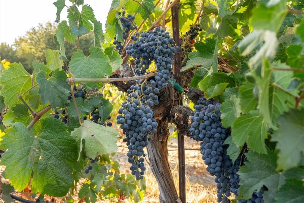 PR Rural West(250) - Residential