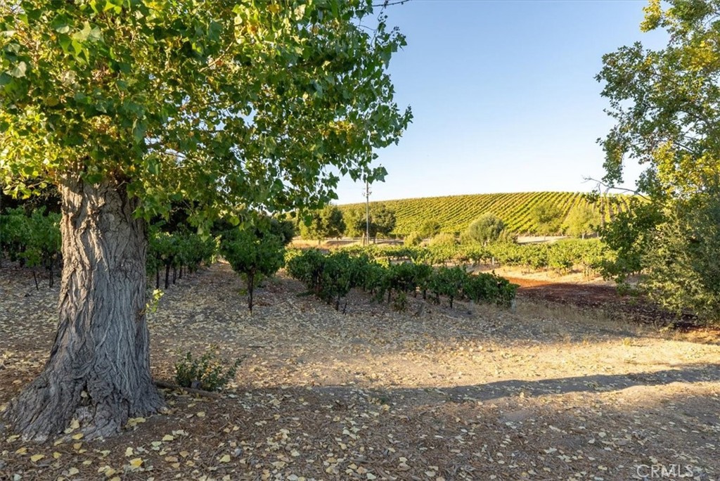 PR Rural West(250) - Residential