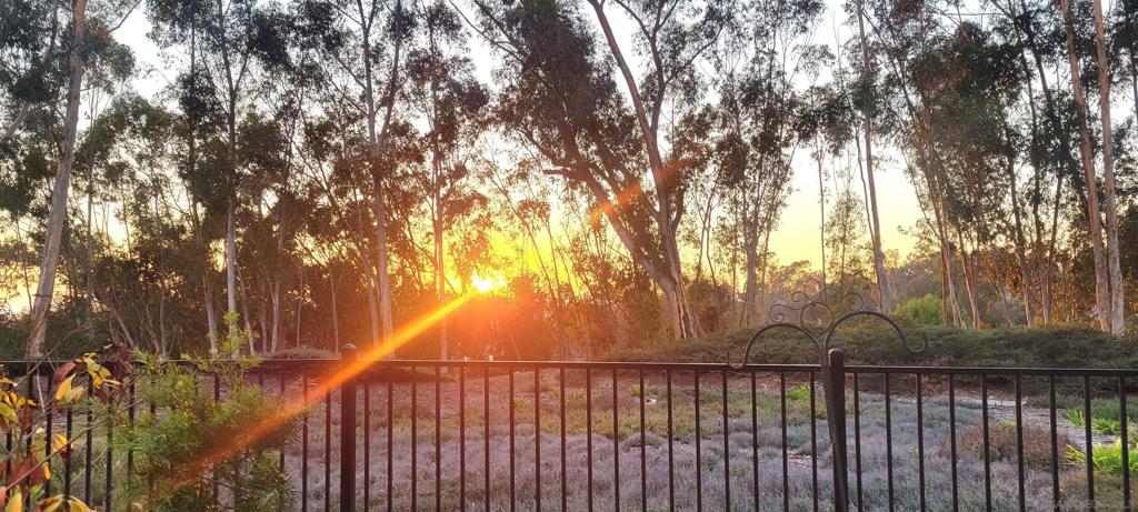 Scripps Ranch - Residential