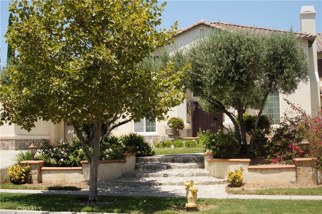 955 Randall Ranch Road