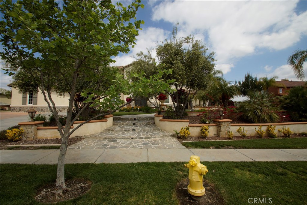 955 Randall Ranch Road
