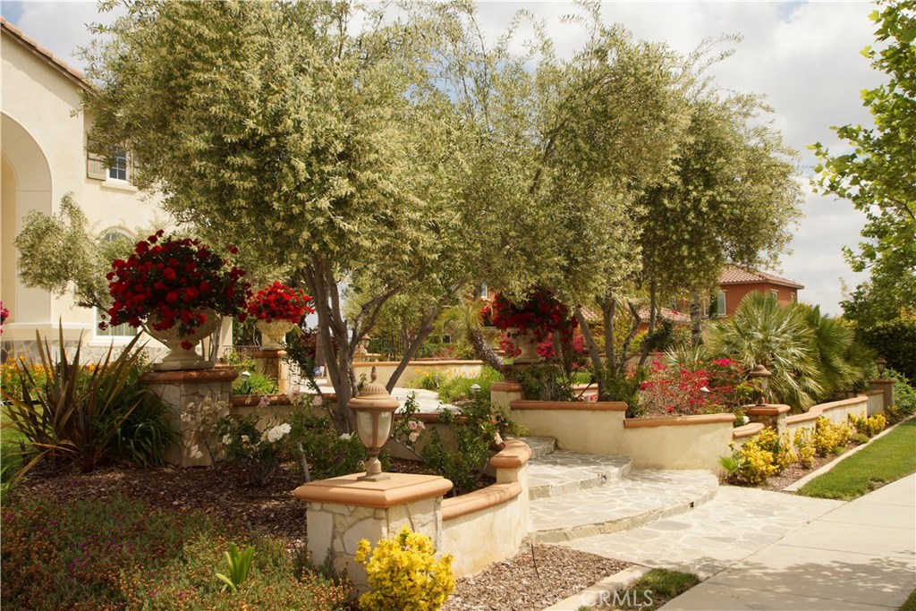 955 Randall Ranch Road