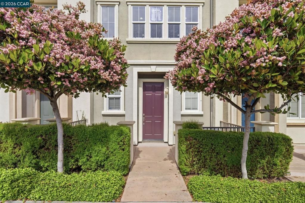 Photo of 252 Sullivan Way Way, Hayward, CA 94541 (MLS # 41128318)