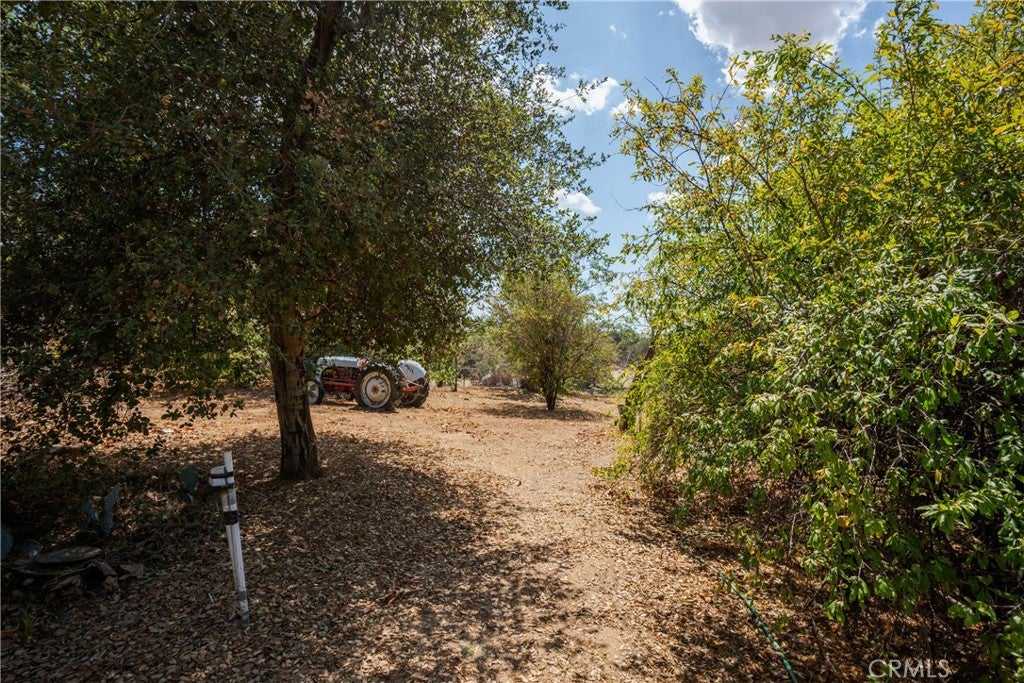 35525 Wildwood Canyon Road