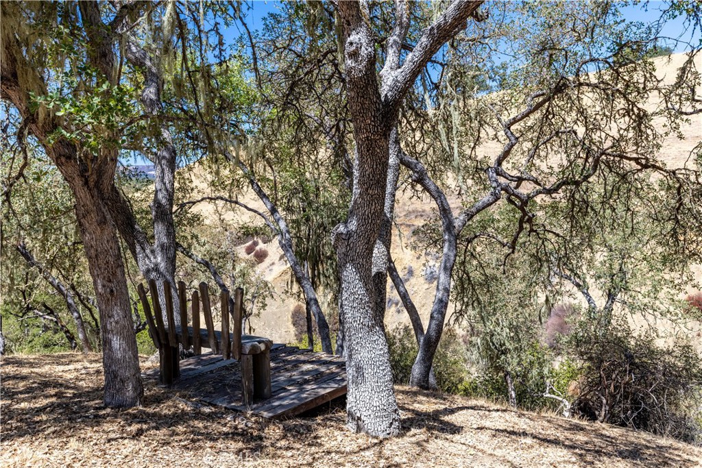 PR Lake Nacimiento(230) - Residential