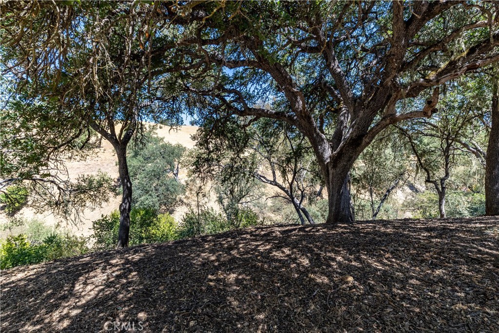 PR Lake Nacimiento(230) - Residential