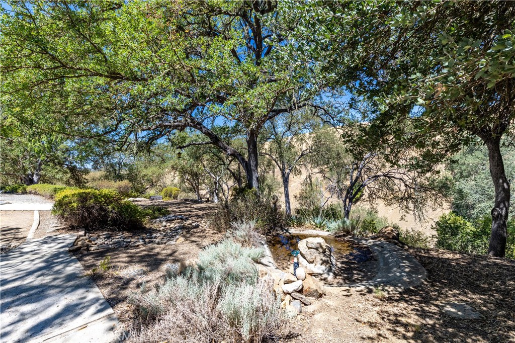 PR Lake Nacimiento(230) - Residential