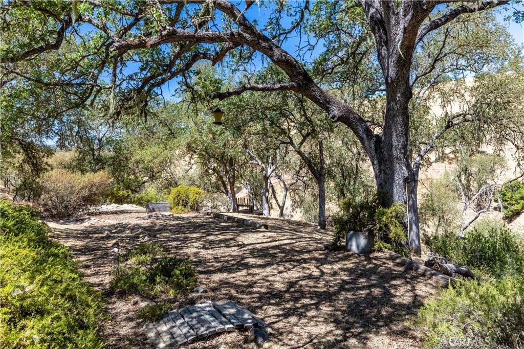 PR Lake Nacimiento(230) - Residential