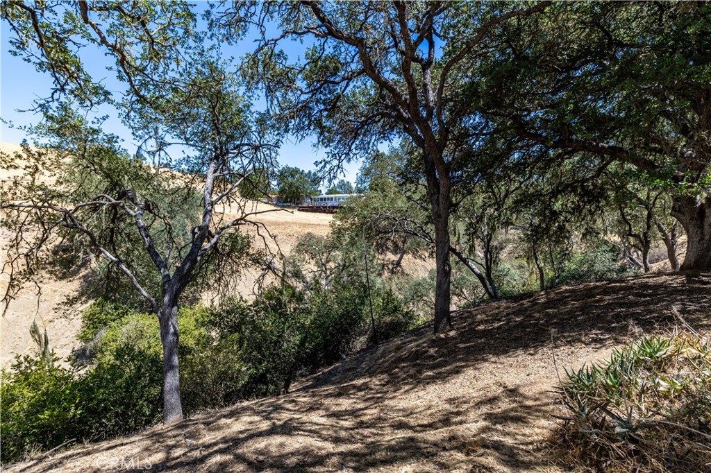 PR Lake Nacimiento(230) - Residential