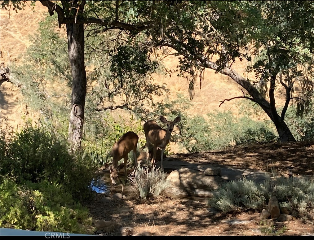 PR Lake Nacimiento(230) - Residential