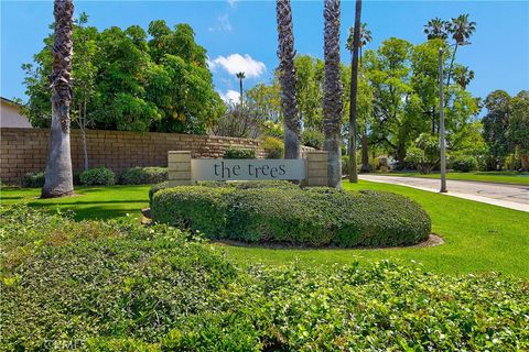 Photo of 6618 Wintertree Drive, Riverside, CA 92506 (MLS # IV26085084)