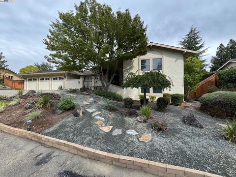 Photo of 143 Valley Oaks Dr Dr, Alamo, CA 94507 (MLS # 41114127)