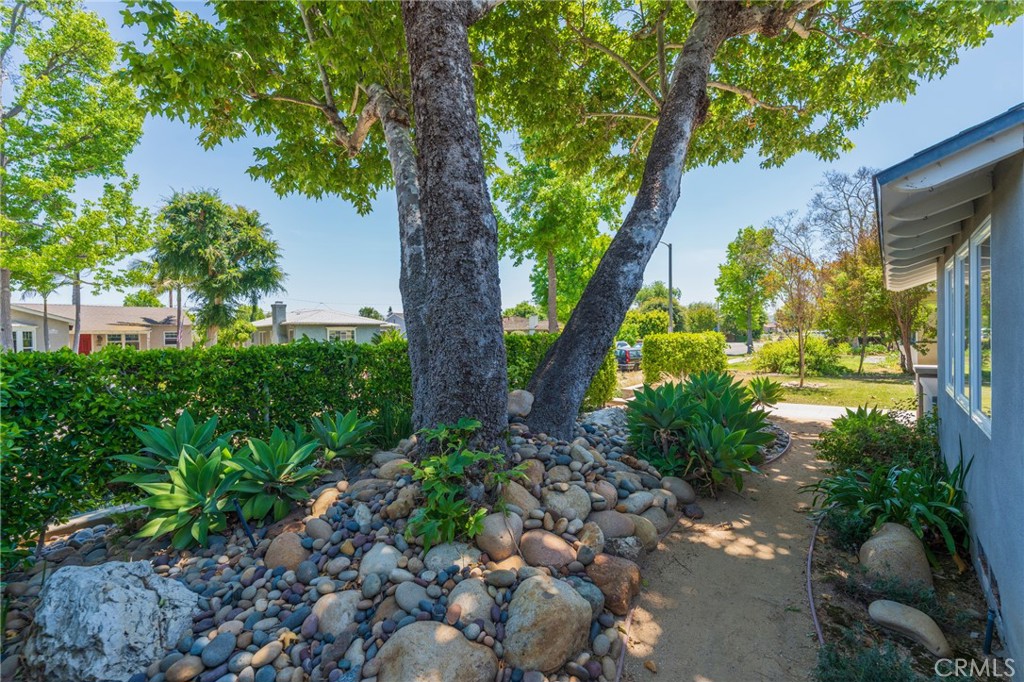 3923 Rose Avenue