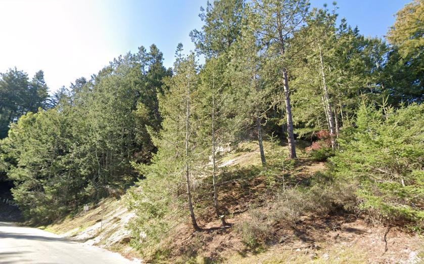 One of only a few residential vacant lots left in sunny Scotts Valley. Raw land, no structures, steep sloping lot, you will need to check with city of Scotts Valley for approval to build. Property borders paved city street with sewer and water in street, electricity available. Just a few blocks from downtown Scotts Valley's great schools, theater, grocery stores, restaurants, and many parks including Sky Park with a great skatepark, bike pump track, soccer field, walking trails, and more.