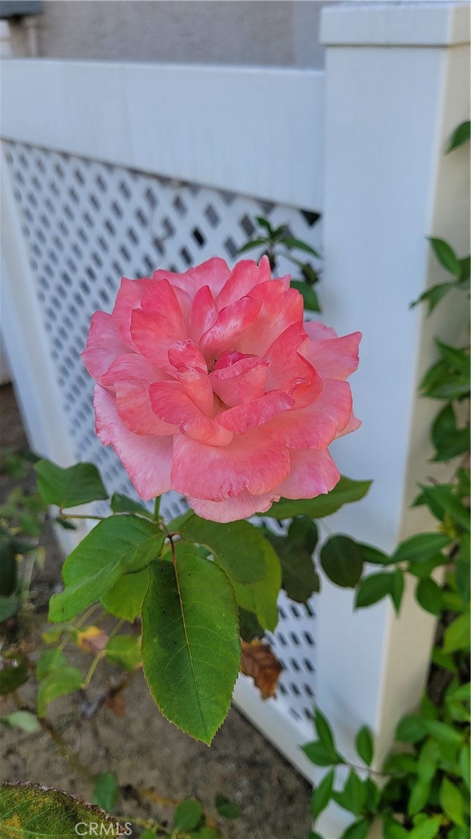 Viewpointe (VPHL) - Residential