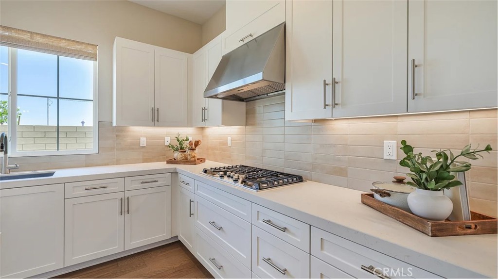 27445 Shining Willow Lane