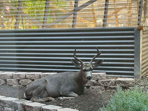 Tiny photo for 2298 Tipton Street, Cambria, CA 93428 (MLS # SC26037532)