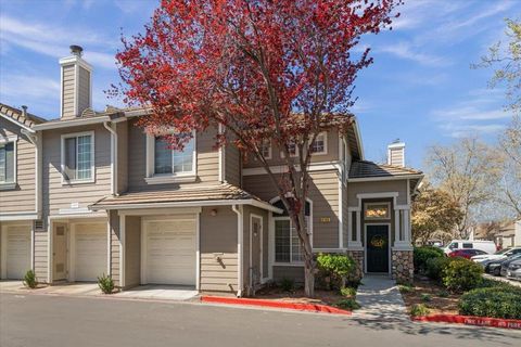 6185 Lavendula Way San Jose CA 95119