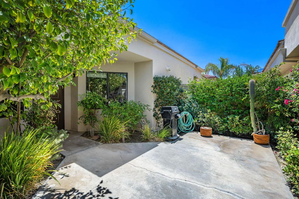 54374 Oak Tree