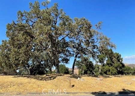 9970 Bluegill Drive