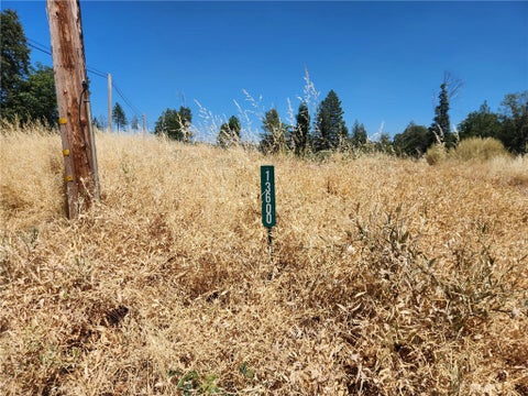 Photo of 13600 Andover DR, Magalia, CA 95954 (MLS # SN26176041)