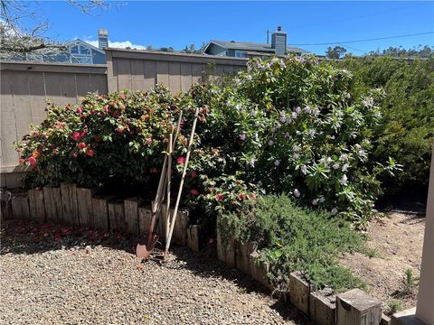 Tiny photo for 330 Jean Street, Cambria, CA 93428 (MLS # SC26069896)