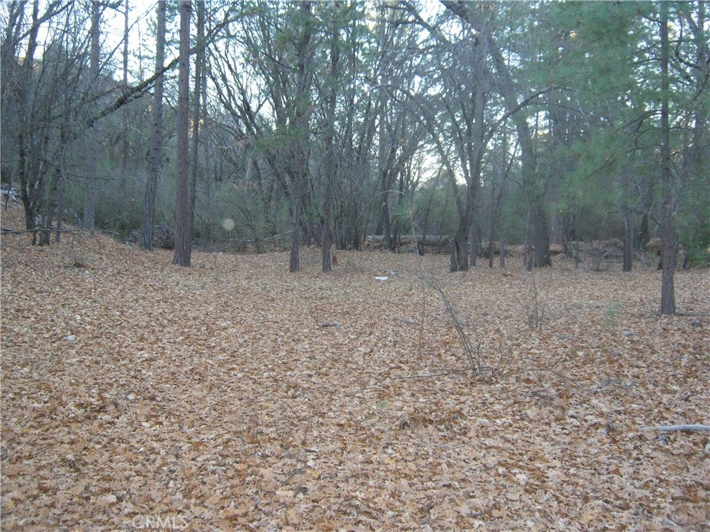 9000 S State Highway 29