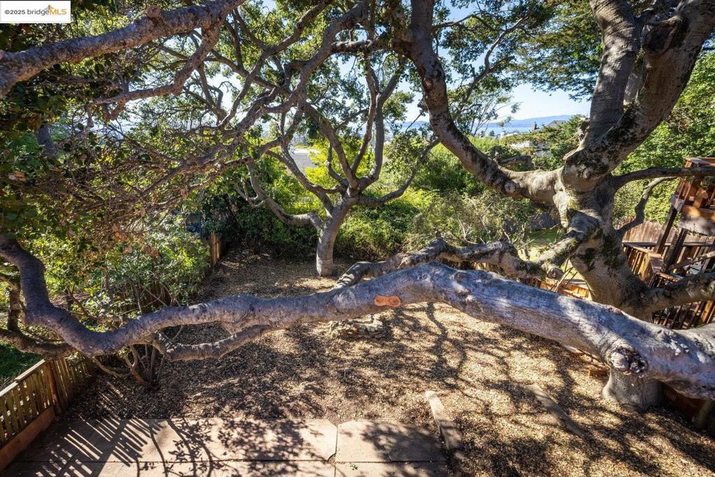 NORTH BERKELEY - Residential