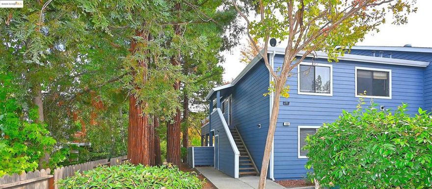 Nestled in the charming city of MARTINEZ, CA, discover the attractive residence awaiting at 648 Fig Tree Lane. This residential property is presented in great condition, offering a wonderful opportunity.  The living room presents an inviting atmosphere, where the high ceiling, vaulted ceiling, and beamed ceiling create an airy and expansive feel; the fireplace adds a touch of warmth and character, promising cozy evenings and memorable gatherings.  The kitchen is thoughtfully designed with both style and functionality in mind, featuring stone countertops and shaker cabinets that offer a blend of modern elegance and timeless appeal; the backsplash provides a beautiful accent, while the kitchen peninsula offers a practical space for meal preparation and casual dining.  The bathroom features a tiled walk in shower, creating a spa-like experience, complemented by a double vanity, offering convenience and a touch of luxury.  Enjoy outdoor living with the balcony, patio, and pergola, perfect for relaxation or entertaining; the fenced backyard provides a private oasis, while the community hot tub offers a wonderful amenity for unwinding.  This property presents a unique opportunity to embrace comfortable living with its attractive features. Open Sunday Dec 28, 2-4 pm