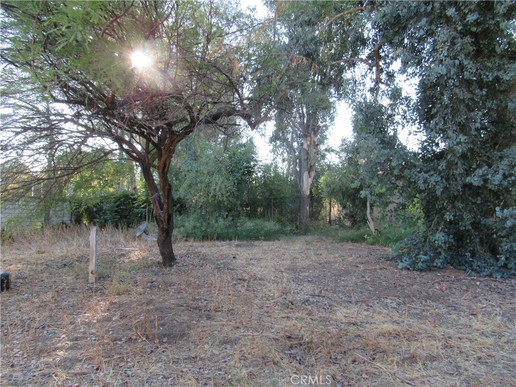 22114 Rae Drive