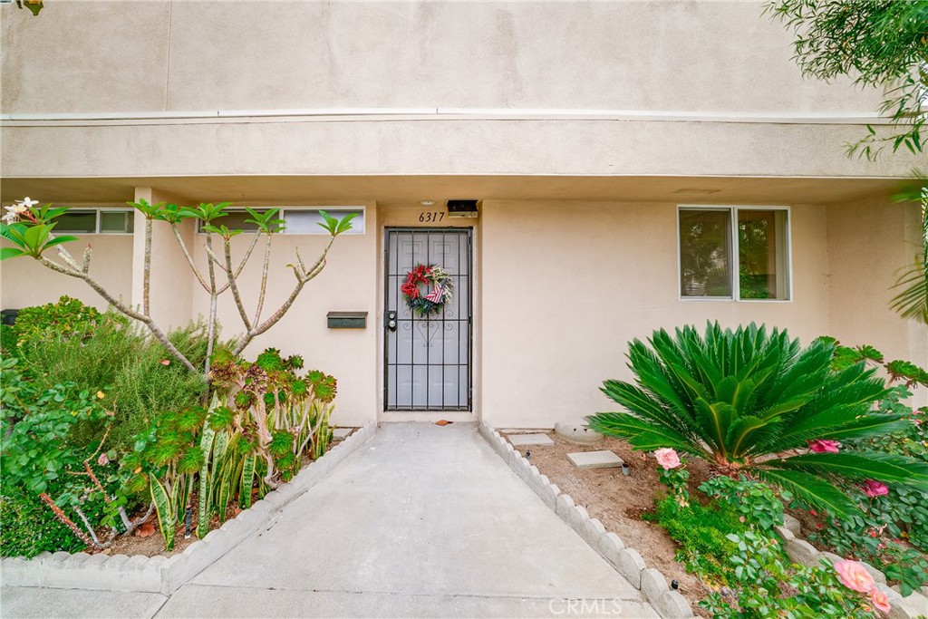 6317 Morse