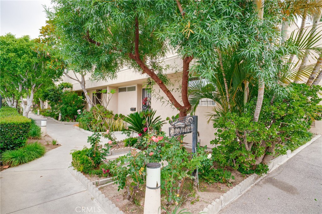 6317 Morse