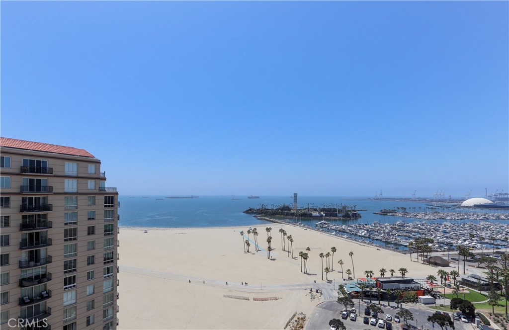 800 E Ocean 1403