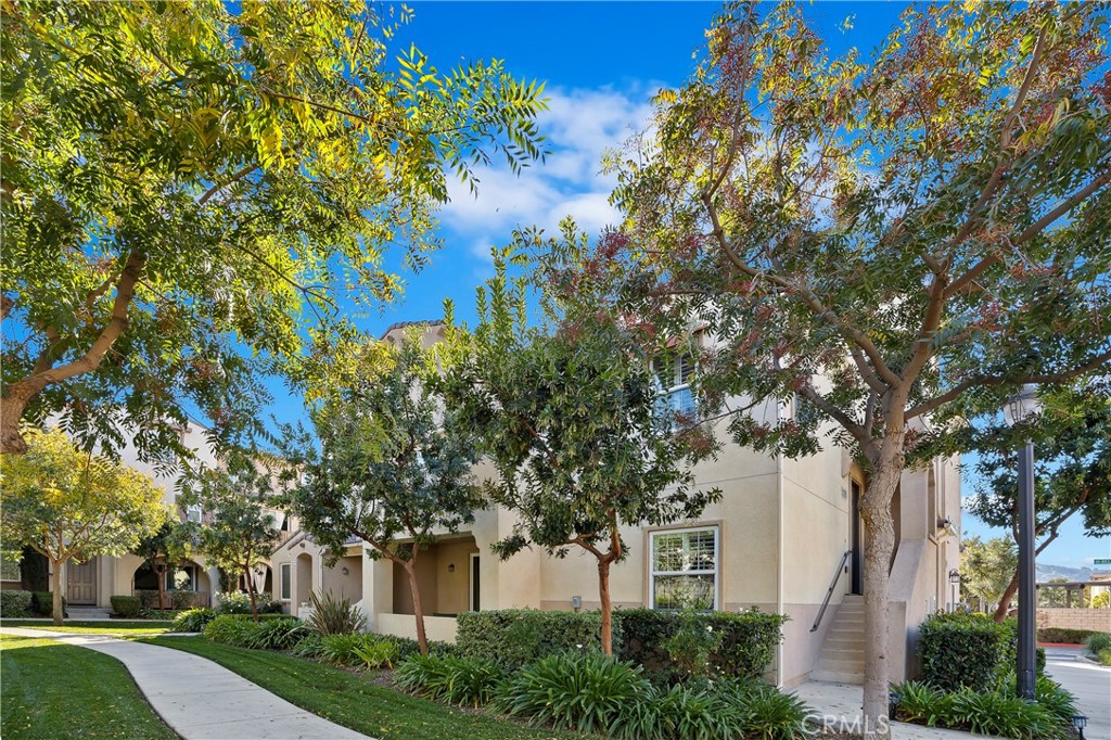 31205 Strawberry Tree