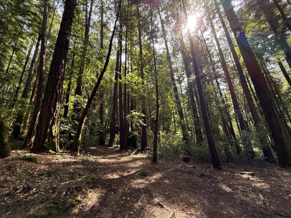 A health investment / personal park opportunity nestled in the heart of La Honda "Middleton", this 2.96-acre redwood forest property offers a unique chance to immerse yourself in nature and serve as a perfect mental retreat from the Bay Area hustle. Scientific studies, such as one published in the International Journal of Environmental Research and Public Health, show that spending time in coastal redwood forests enhances well-being, reducing stress, improving mood, and boosting cognitive function. Surrounded by the breathtaking Portola Redwoods State Park, this property offers tranquility with towering redwoods that release phytoncides, a natural chemicals that enhance immune function, reduce stress, and promote overall well-being. Experience privacy and seclusion, whether for weekend getaways or a peaceful retreat. Outdoor enthusiasts will enjoy direct access to hiking, biking, and wildlife observation without park fees or lines. This forested oasis supports recreational pursuits while preserving the local ecosystem. The property is one of the best-priced lot in San Mateo County, offering exceptional value in a rare area known for its beauty. Owning a slice of coastal redwood forest makes it a great health and financial investment. Serenity and adventure await! Make an offer!