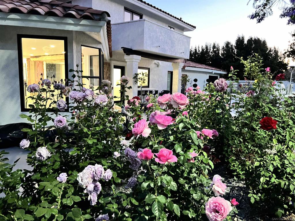 La Mesa - Residential