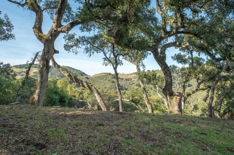 Photo of 5 Vasquez (Lot 170) Trail, Carmel Valley, CA 93923 (MLS # ML82042778)