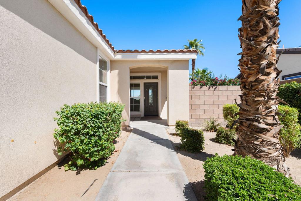 81146 Barrel Cactus Road