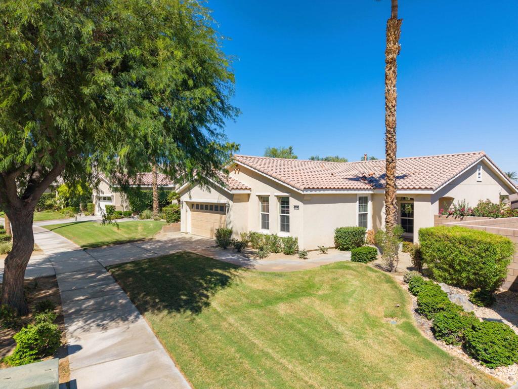 81146 Barrel Cactus Road