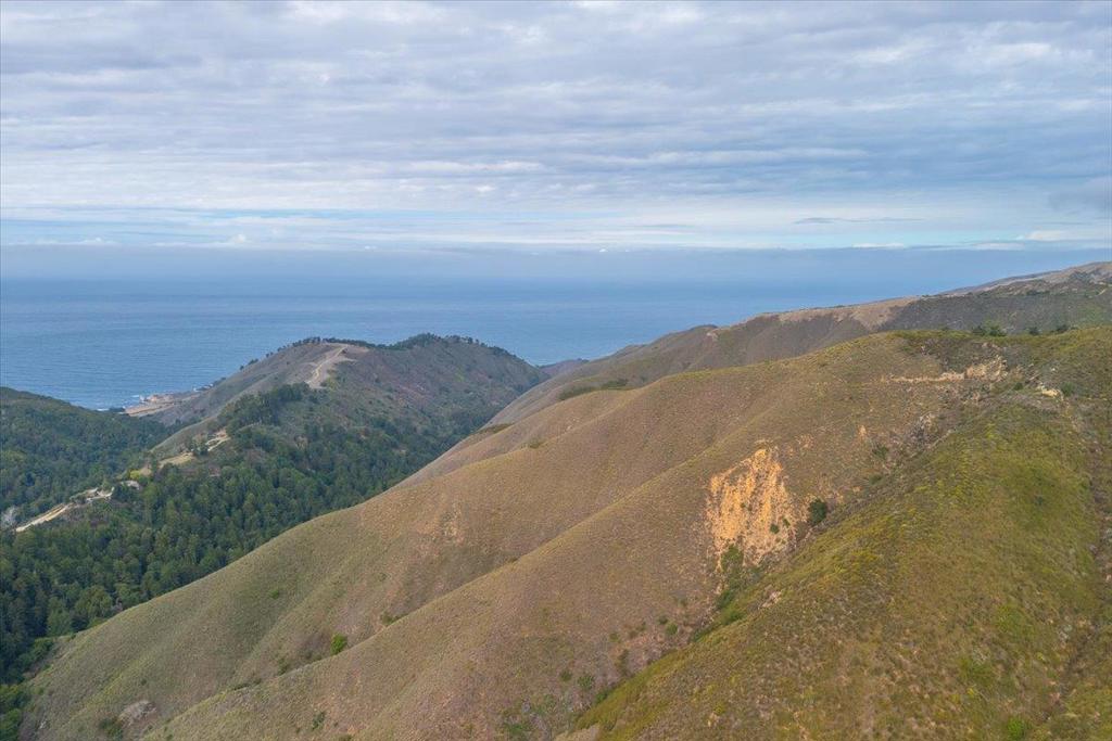 Garrapatos Redwoods Trail