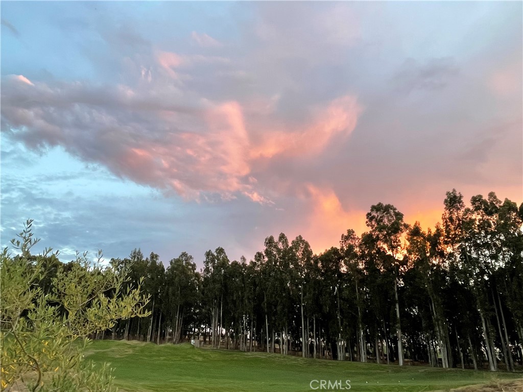 1958 Eucalyptus Road