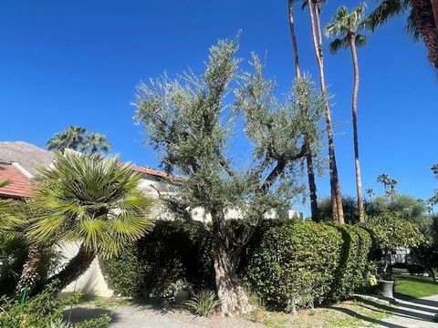 1470 S Camino Real Palm Springs CA 92264
