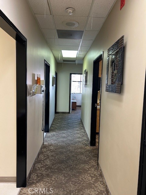 10837 Laurel
